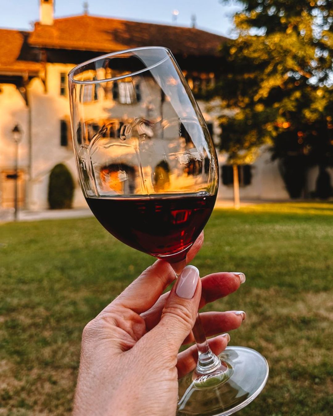 Sélection de vins en terrasse — Collonge Café